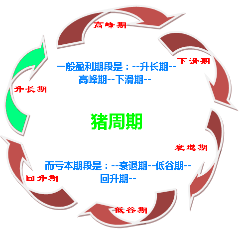 如何破解價(jià)格怪圈 化解“豬周期”風(fēng)險(xiǎn)？